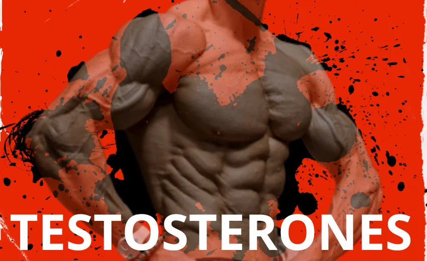 筋肉増強剤 • アナボリックステロイド 通販 • アナボリックステロイドの購入方法 経口アナボリックステロイド 筋肉 増強 剤 おすすめ 注射可能なアナボリックステロイド 注射 コールド シャワー テストステロン アナボリックステロイド注射器 アナボリックステロイド 名古屋 アナボリックステロイドの副作用 アナボリックステロイドサイクル アナボリック ステロイド 顔つき Musashi Pharma テストステロン マステロン デカ デュラボリン トレンボロン ナンドロロン ボルデノン ダイアナボル スタノゾロール オキサンドロロン オキシメトロン メチルテストステロン トゥリナボル アナストロゾール